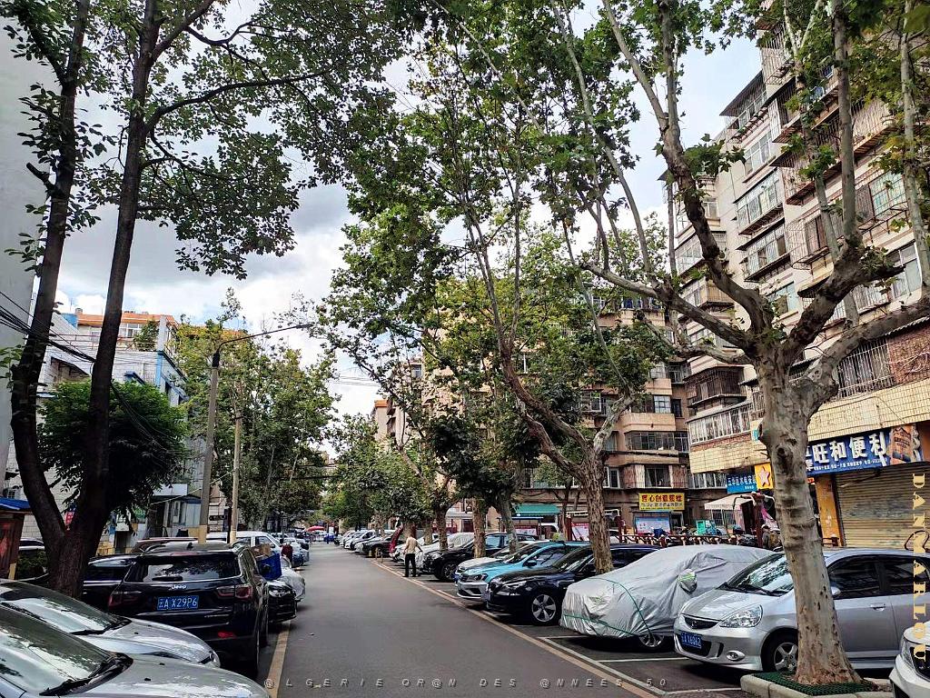 Kunming - En Ville - 26.jpg